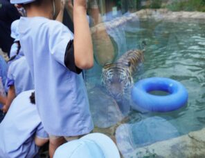 「円山動物園にて親子遠足がありました♬」の画像