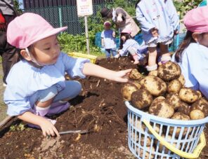 「収穫祭が開催されたよ！」の画像