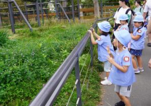 「円山動物園にて親子遠足がありました♬」の画像