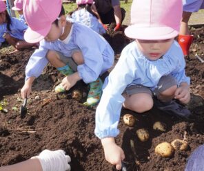 「収穫祭が開催されたよ！」の画像