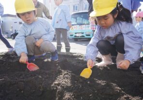 「春に備えて球根を花壇に植えましたよ♪」の画像