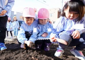 「春に備えて球根を花壇に植えましたよ♪」の画像