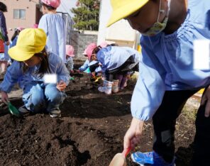 「春に備えて球根を花壇に植えましたよ♪」の画像