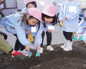 「春に備えて球根を花壇に植えましたよ♪」の画像